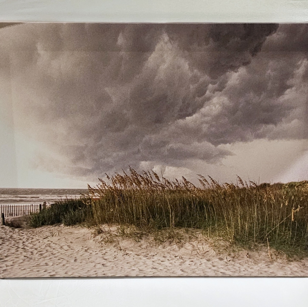 20 x 16 photo printed on canvas